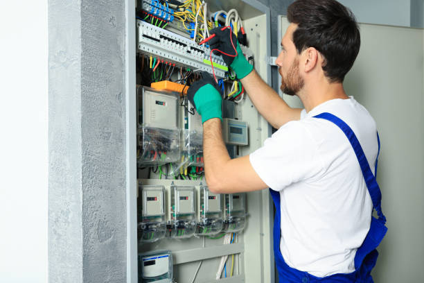 Best Electric Panel Repair  in Lookout Mountain, AL